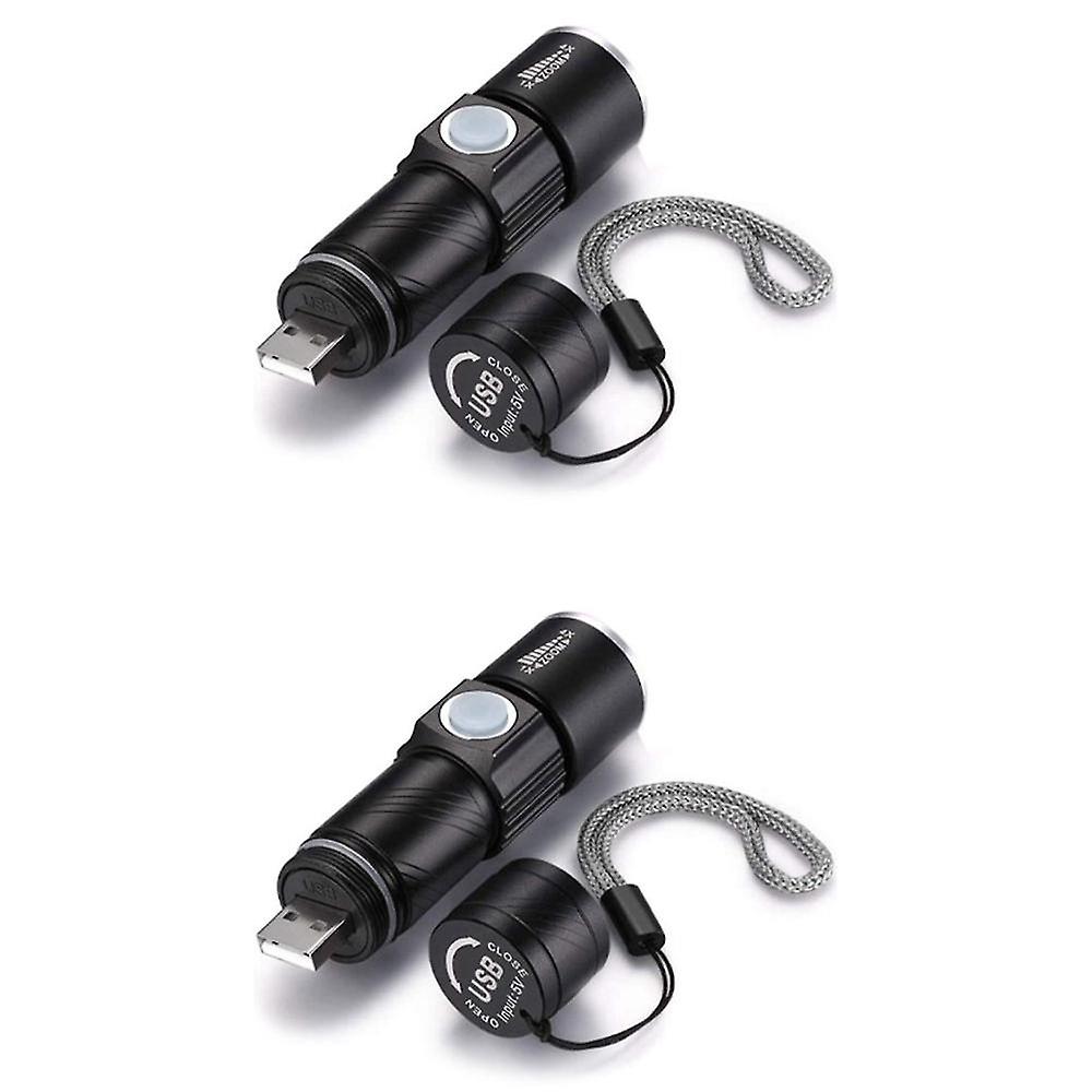 395nm Uv Light Flashlight Blacklight Usb Rechargeable Led Flashlight