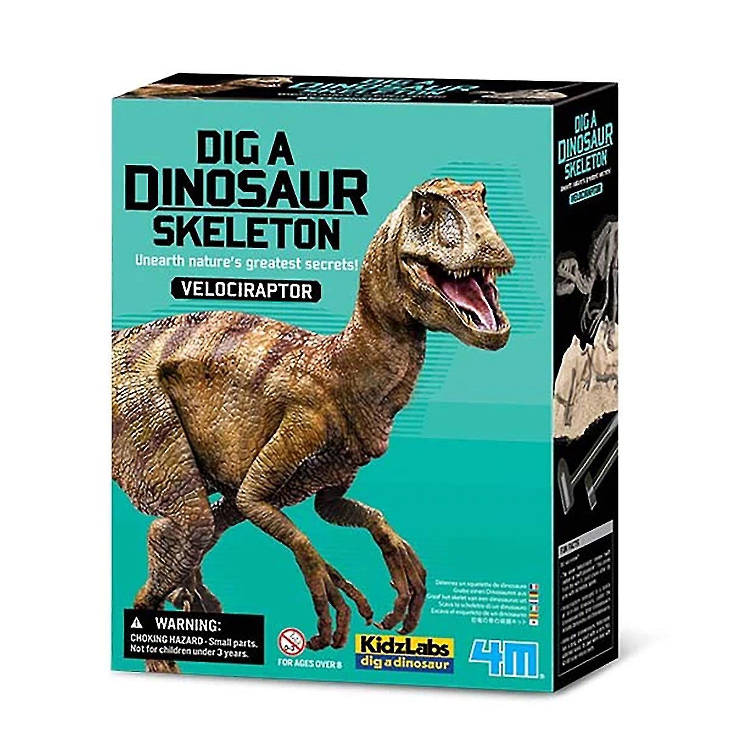 4M - حفر ديناصور (velociraptor)