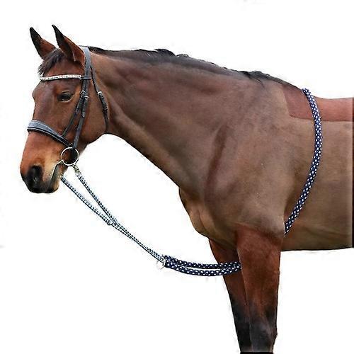 Aiuto per l'affondo del cavallo Hy