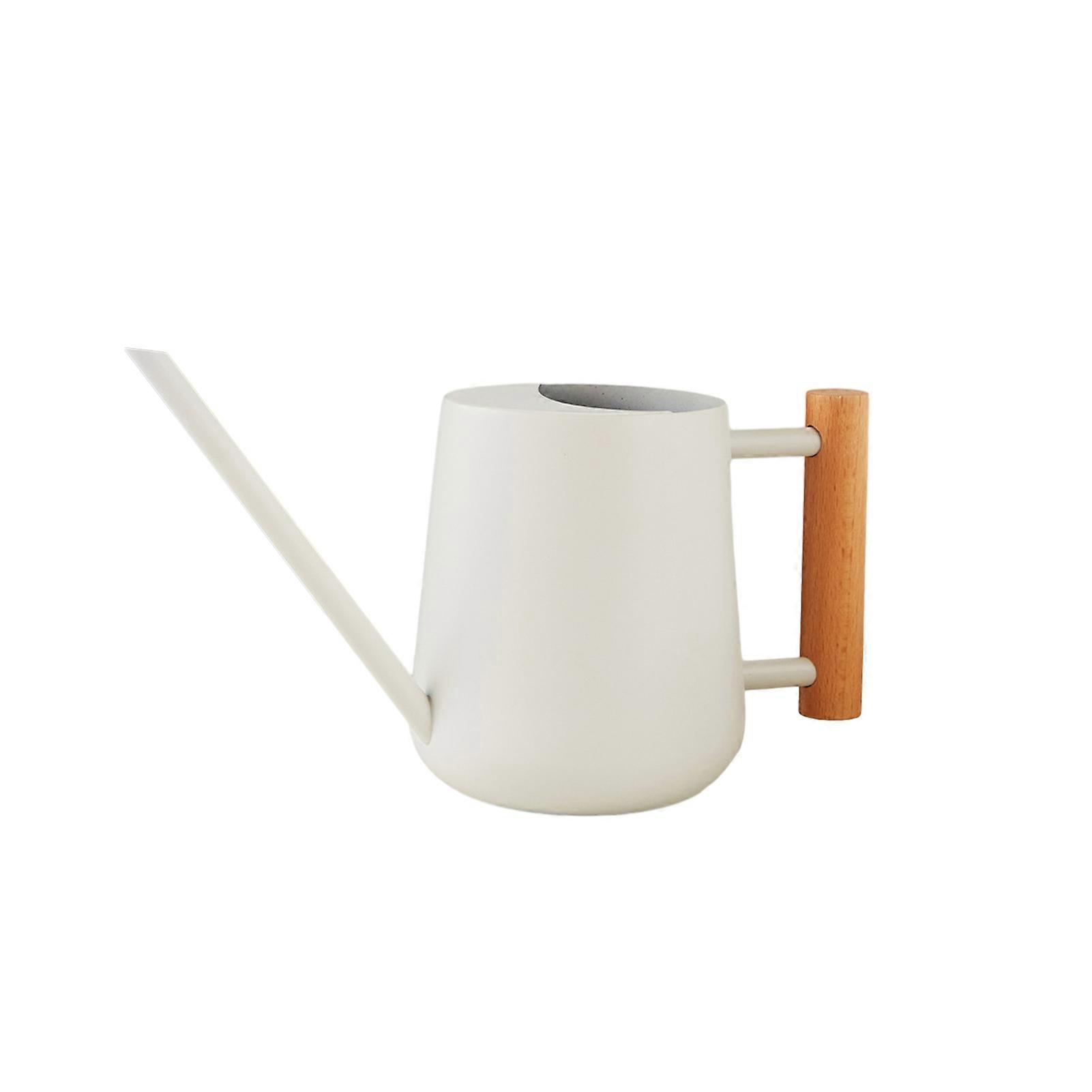 900ML Indoor Metal Watering Can with Long Spout Easy Access for Houseplants Bonsai And Garden Decor KAESI