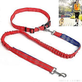 Dog Leash Elastic Nylon Pet Running Leash Walking Dog Leash Pet Leashe