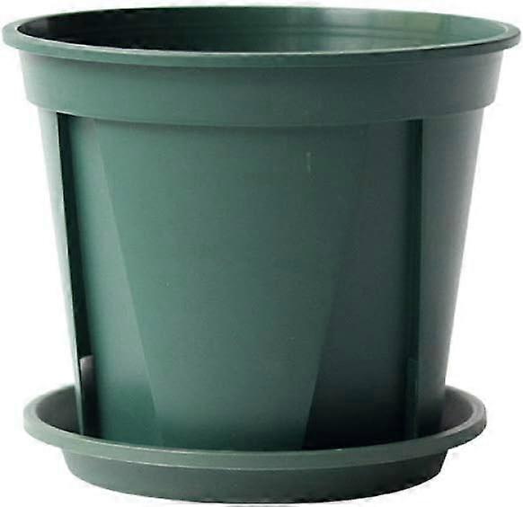 Plant Pot, Clematis, Pink