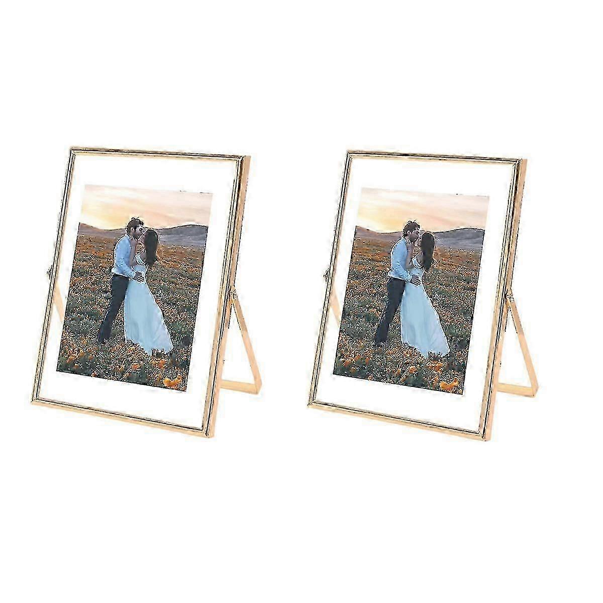 4X6 Picture Frame Set of 2, for Multiple Photo Sizes (4X6, 3X5, 2X3), Metal Glass Floating Picture Frame