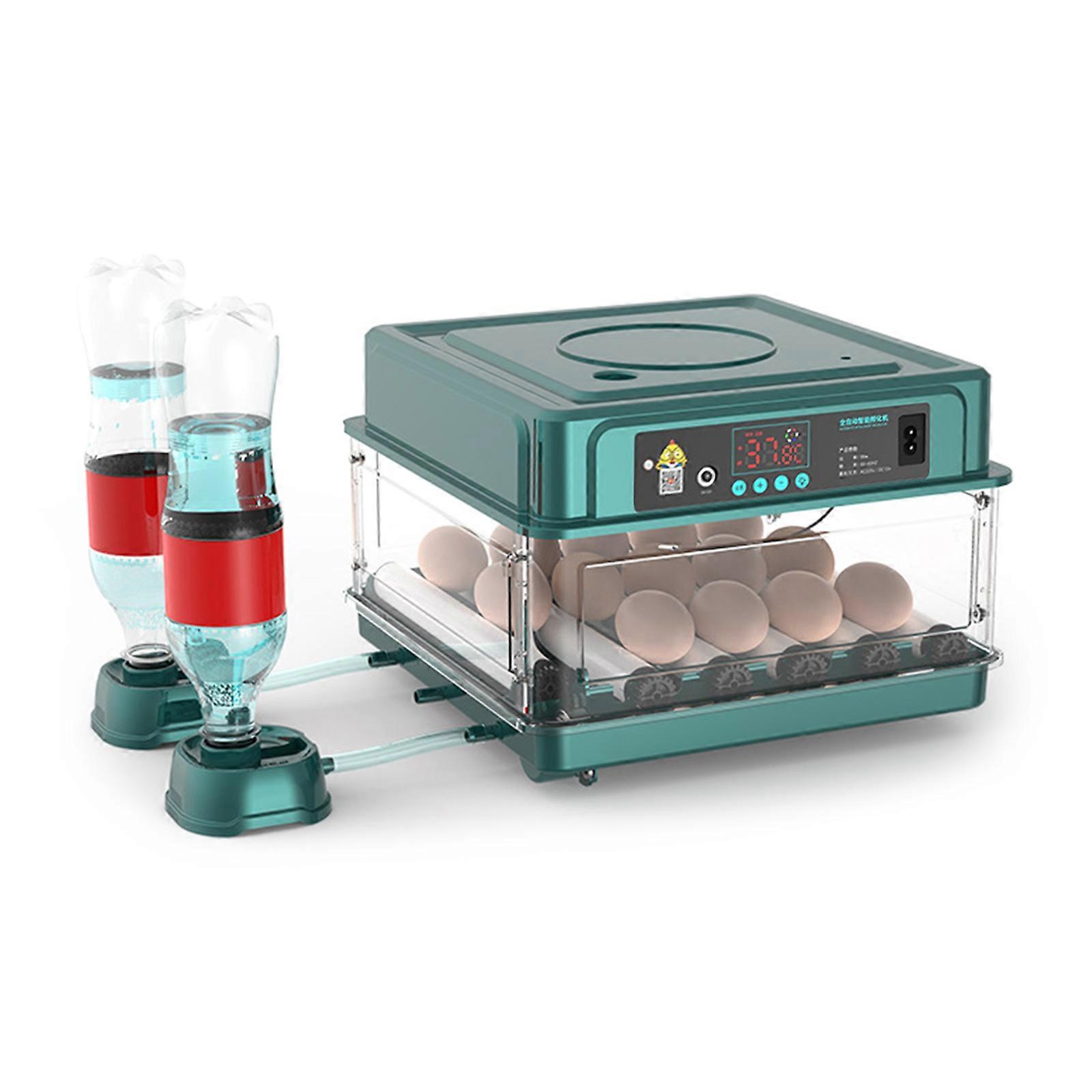 Automatic Turning Eggs Incubator With Digital Temperature And Humidity Easy Monitoring for Home Hatching Farming Supply Multicolor
