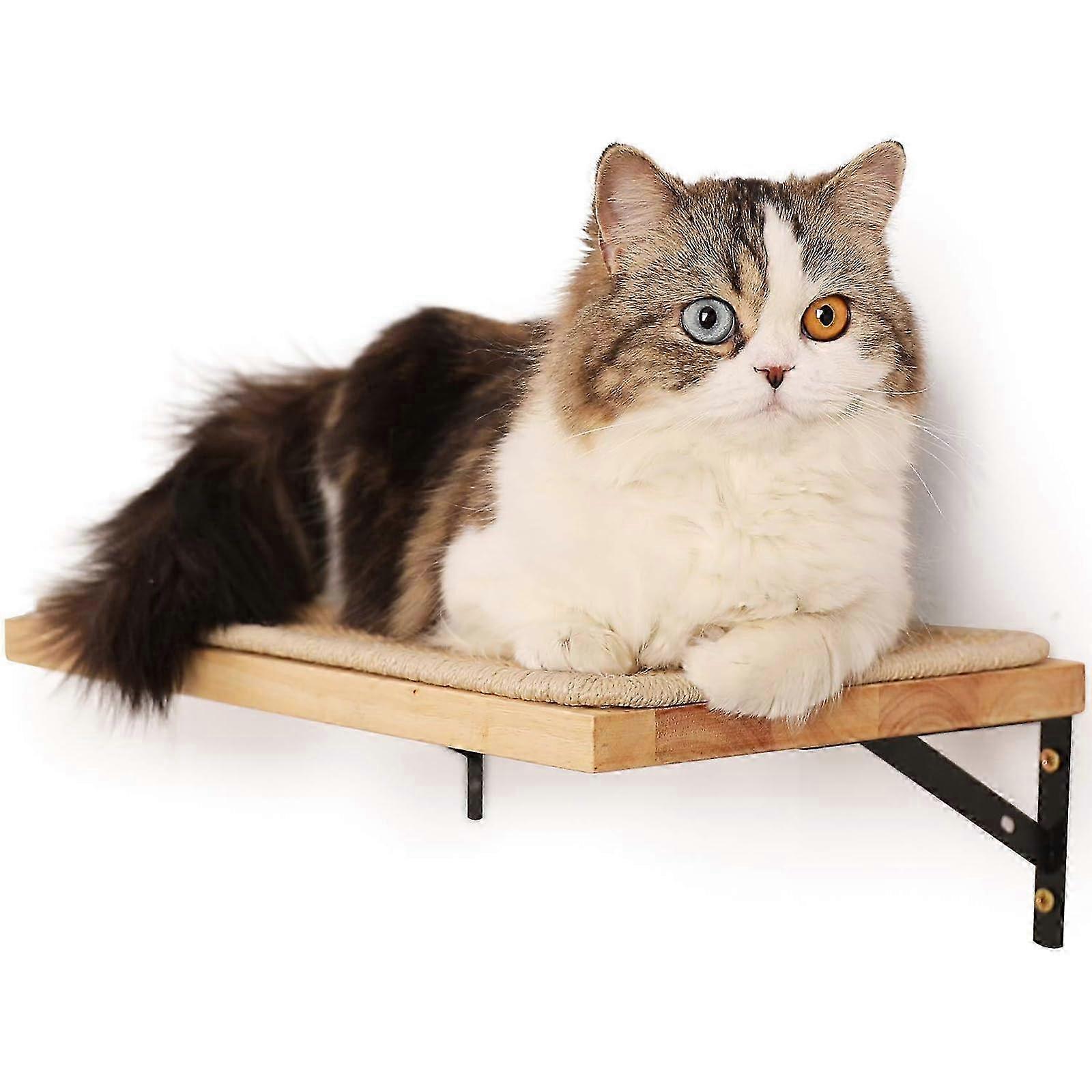 Cat Wall Rack 16x10 Inches 26-27s