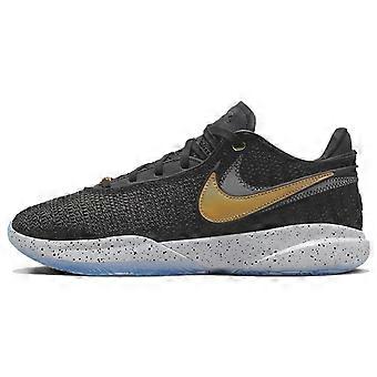 Nike LeBron 20 "Fab 5" DJ5422-003