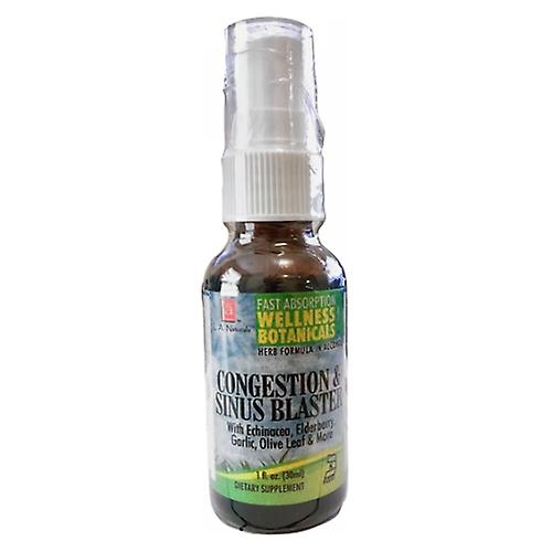 L. A. . Naturals Congestion & Sinus Blaster Spray, 1 Oz (2er Pack)
