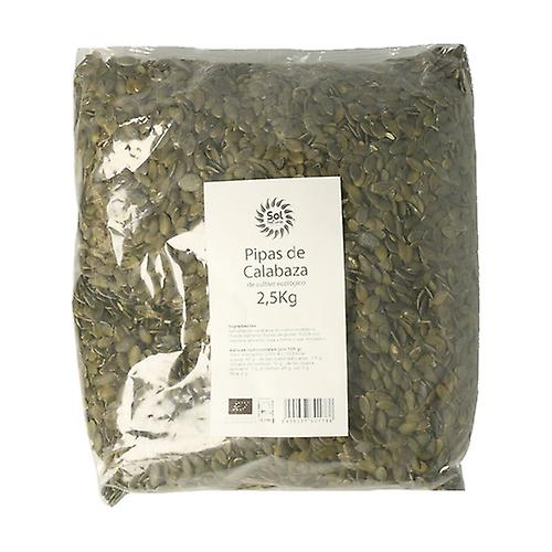 Pumpkin seeds 2,5 kg