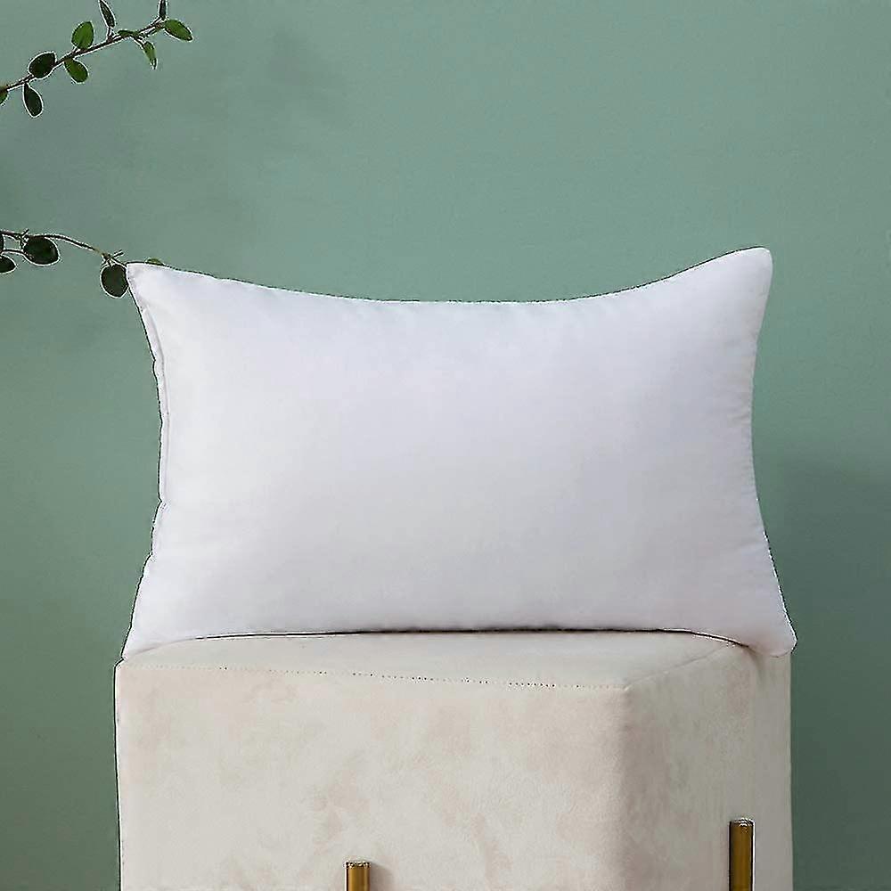 Throw Pillow Insert Hypoallergenic Premium Pillow Filled False Rectangle Decorative Cushion Bed Sofa