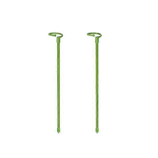 Pot Stand Shape Plant Anti-rust Durable Anti-deformed Long-lasting Wide Applications Reusable Plant Climbing Sturdy Plant Support Stakes for Amaryllis