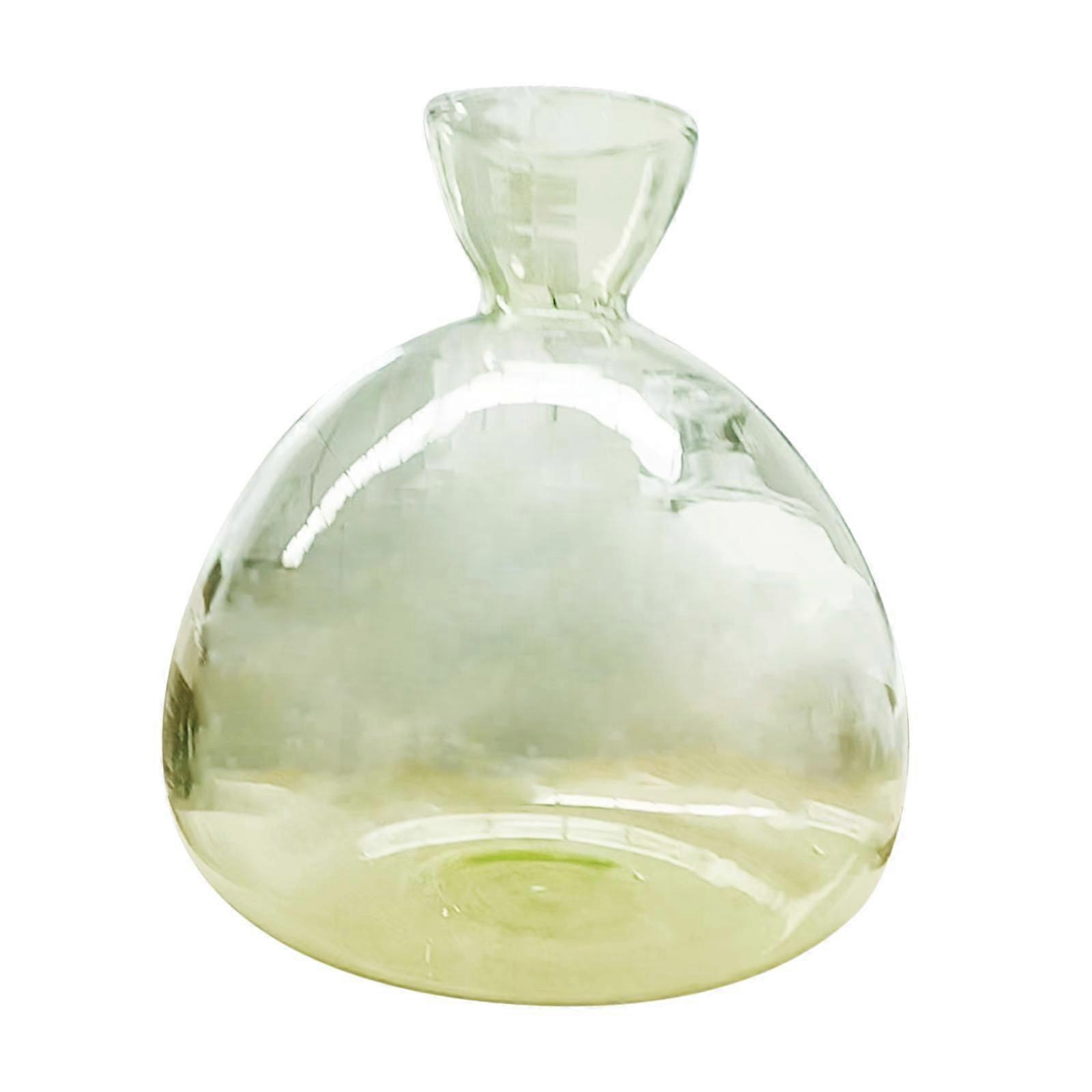 Clear Vase Propagation Vase Planter Vase for Birthday Gift Bookshelf Kitchen 17x17x17cm