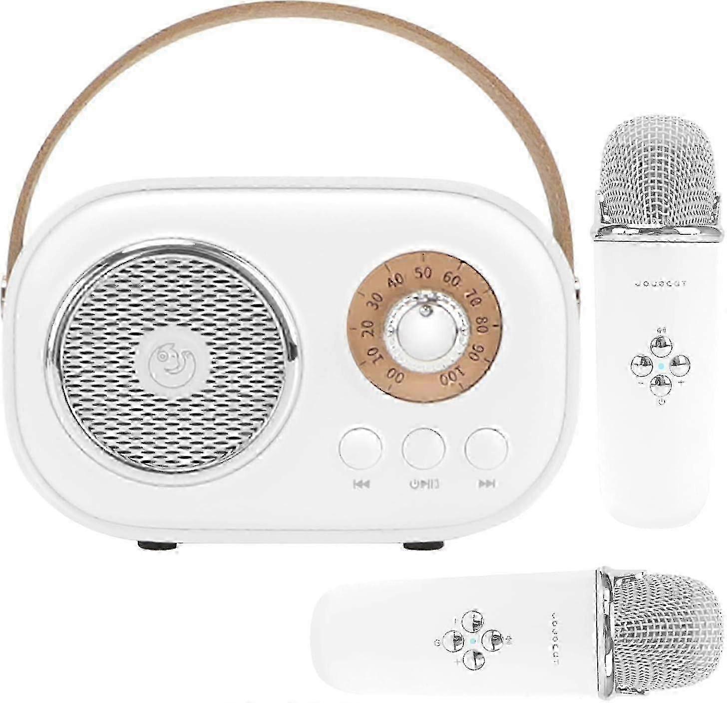 Mini Karaoke Machine with 2 Wireless Mics for Kids