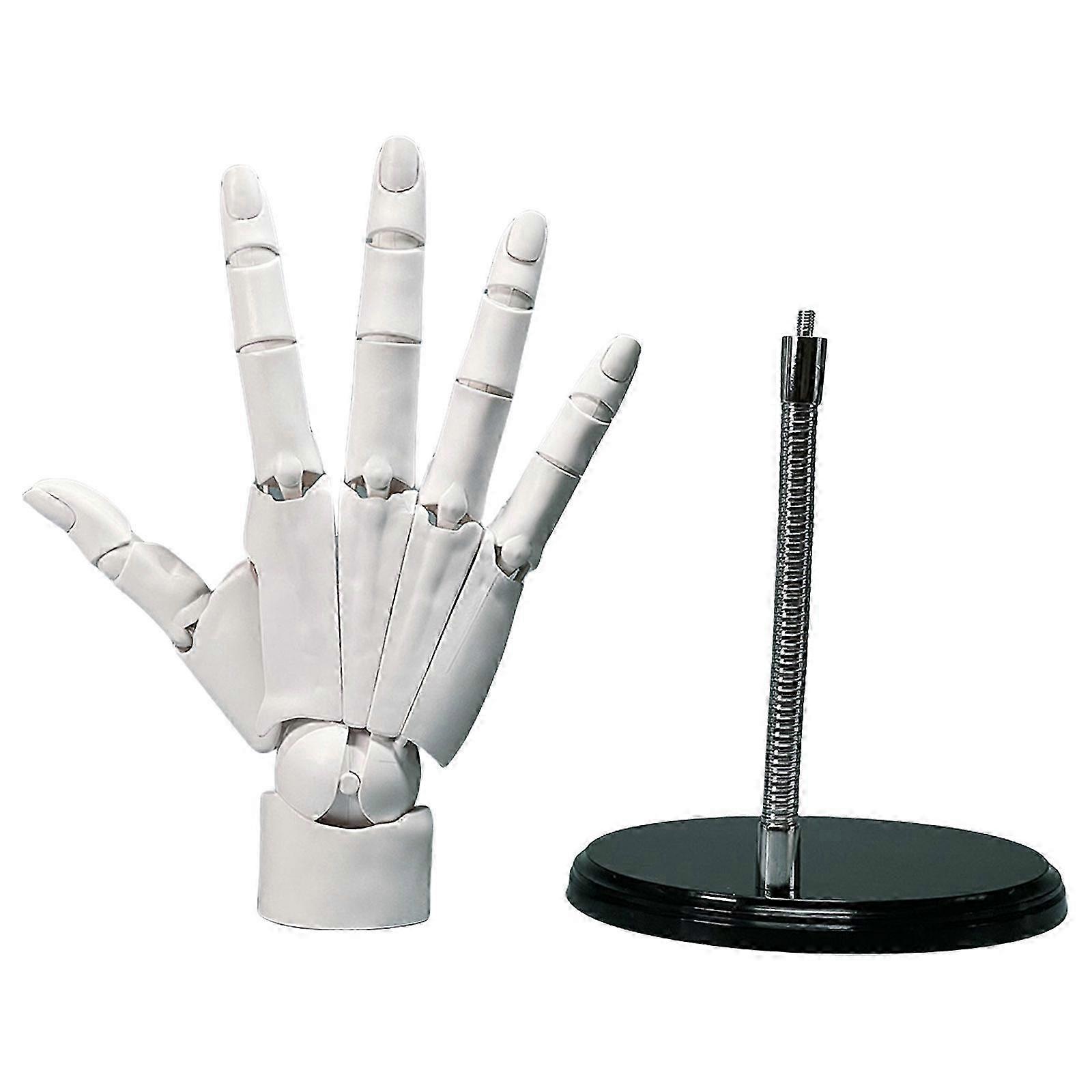 2025 Artist Jointed Articulated Mannequin Hand Model Flexible Articulated Hand Model for Art Drawing Sketching Photography white right hand