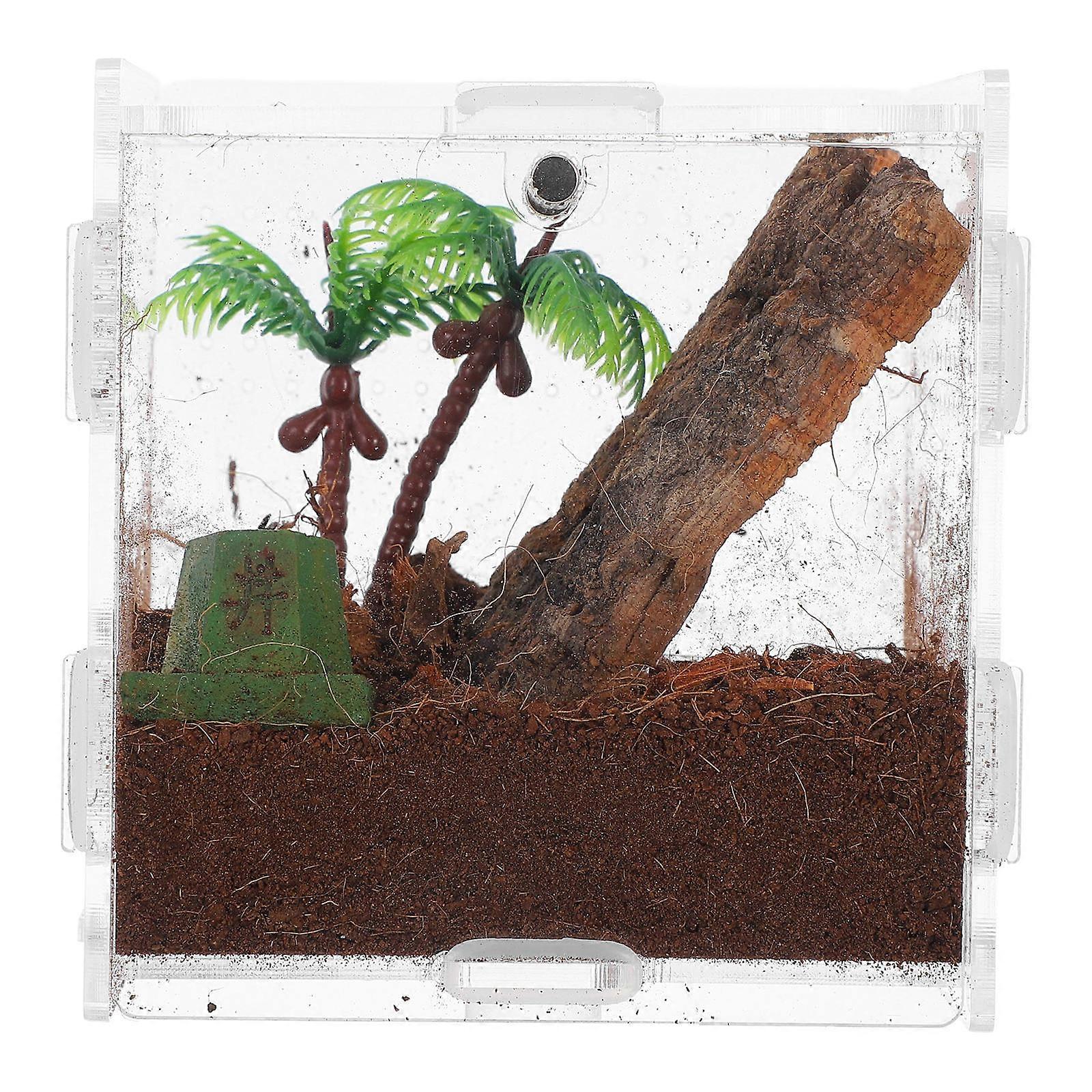 Micro Habitat Terrarium Enclosure Acrylic Reptile Terrarium For Insects Lizards And Spiders Square Shape Home Use 9.50X9.00X9.00CM Noncapturing 1Pack