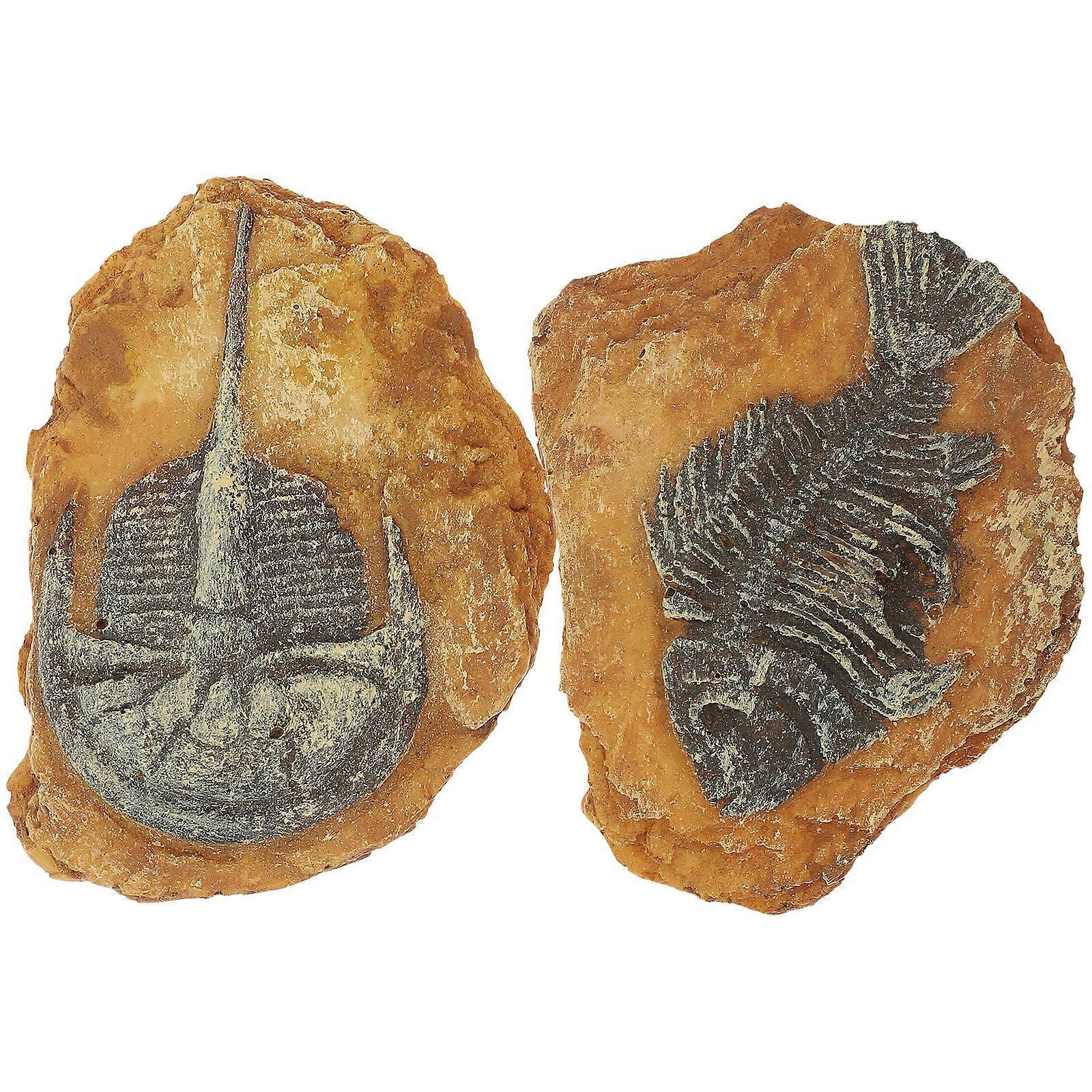 2pcs Lifelike Fossil Decor for Reptile Tanks, Natural Terrarium Landscape Ornaments for Lizard, Gecko, Snake Habitats – Safe, Durable, Vivid Design