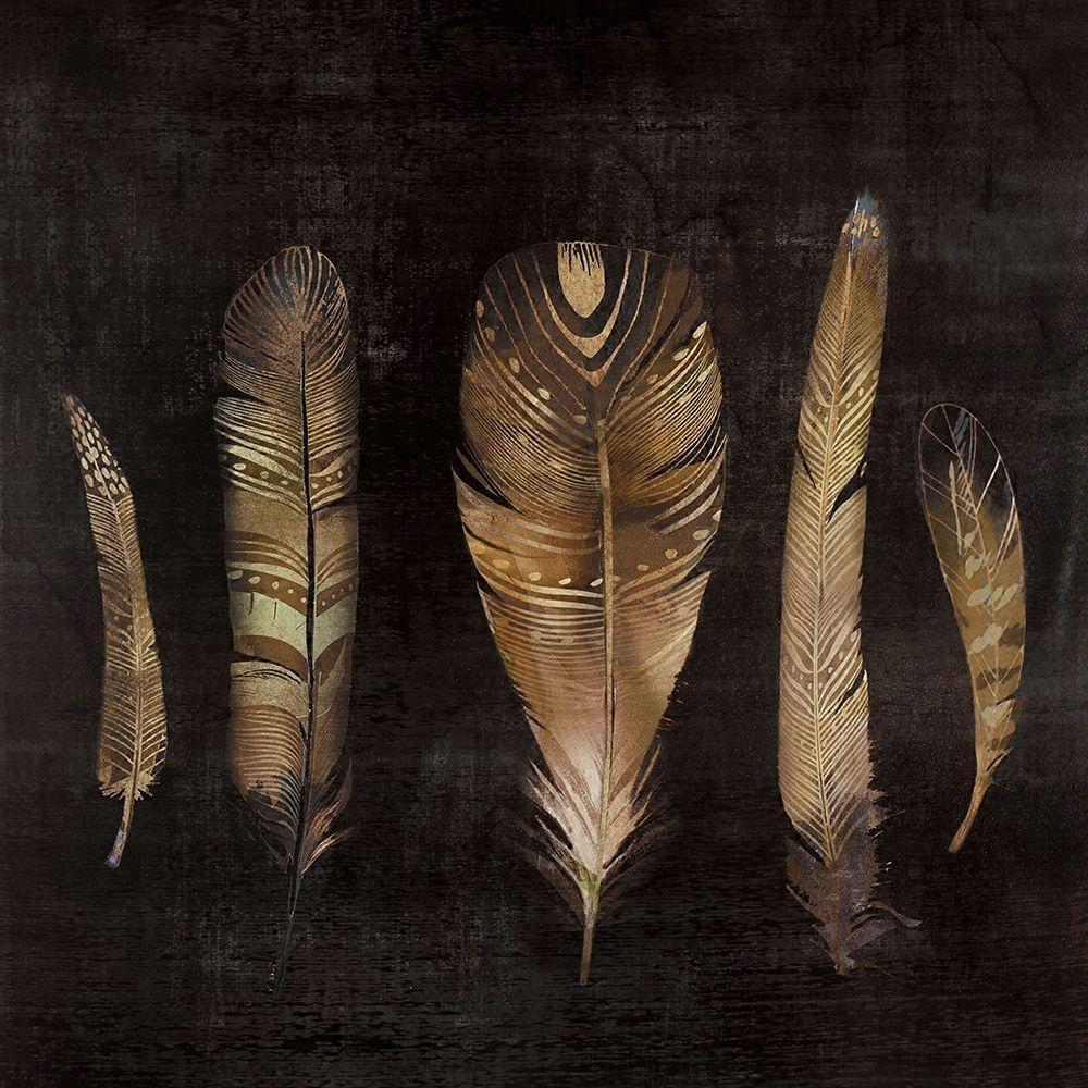 BROWN FEATHER SET Poster