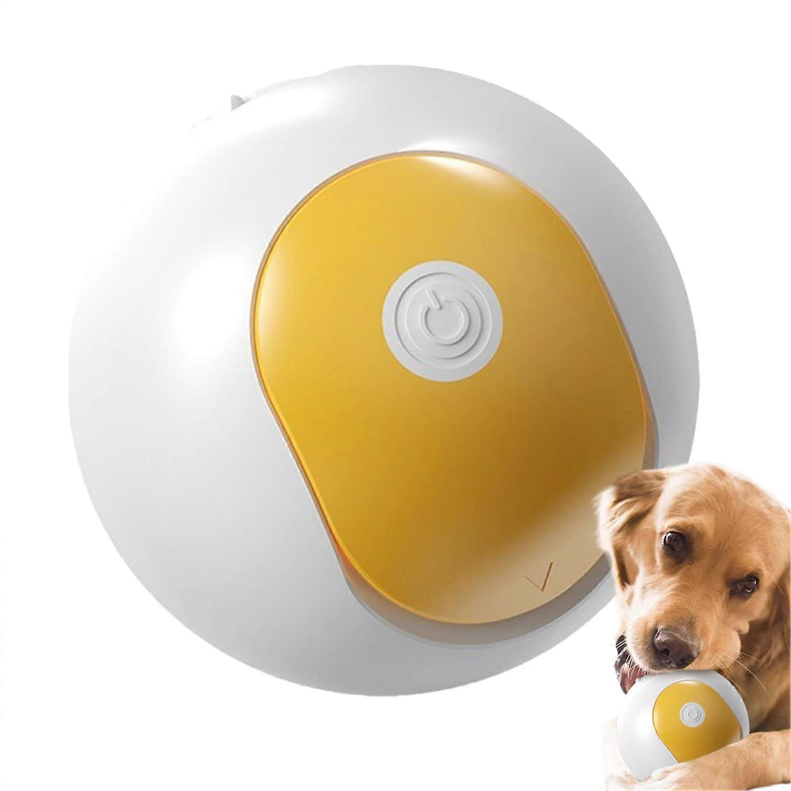 Pet exercise game for indoor breed