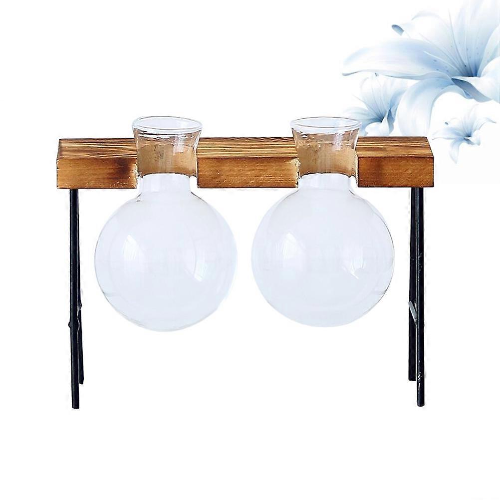 Terrarium Planter Hydroponics Planting Vase Gardening Hobby Orb Shape 2Pack