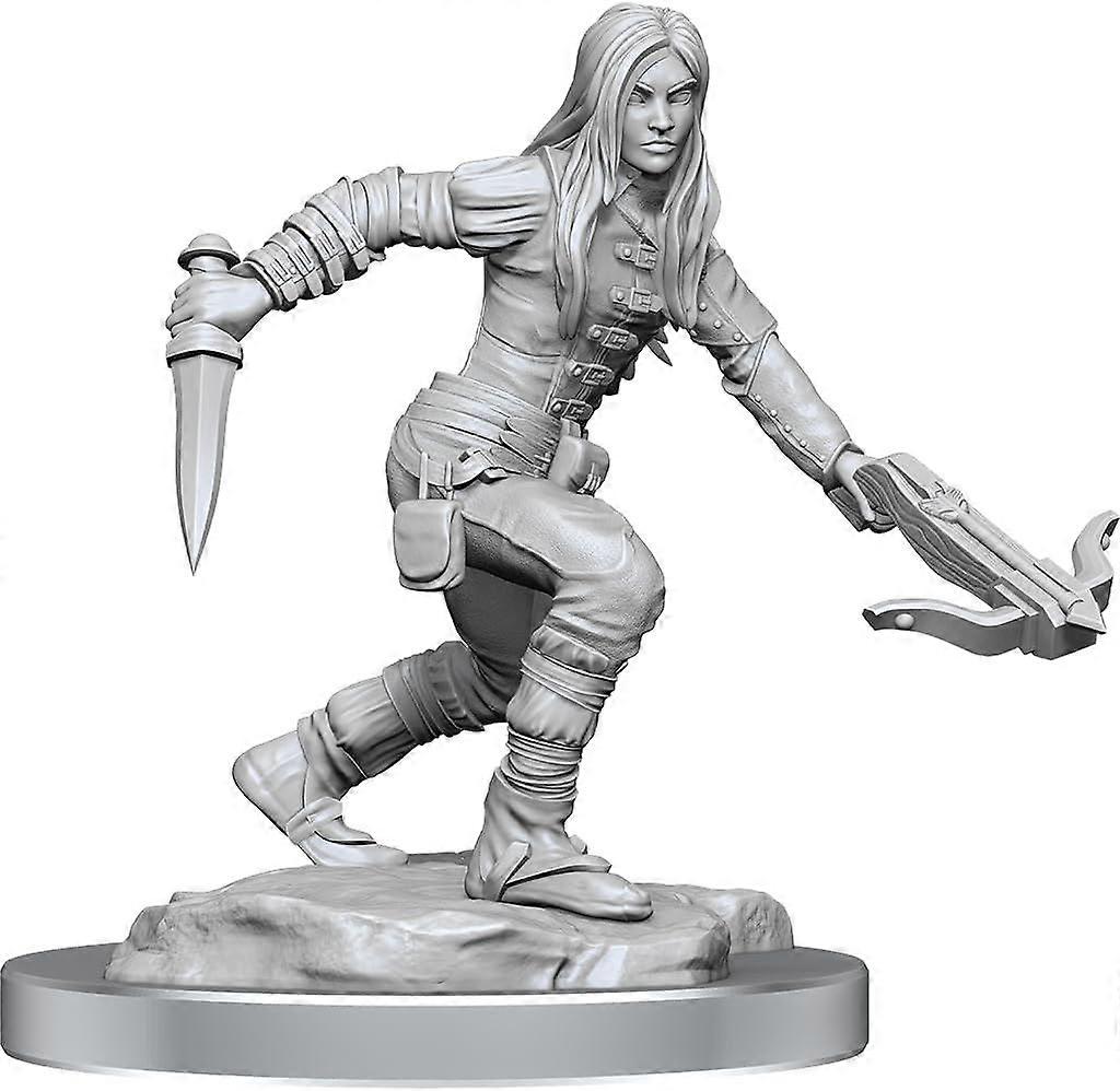 D&D Nolzurs Marvelous Unpainted Miniatures W17 Half-Elf Rogue Female