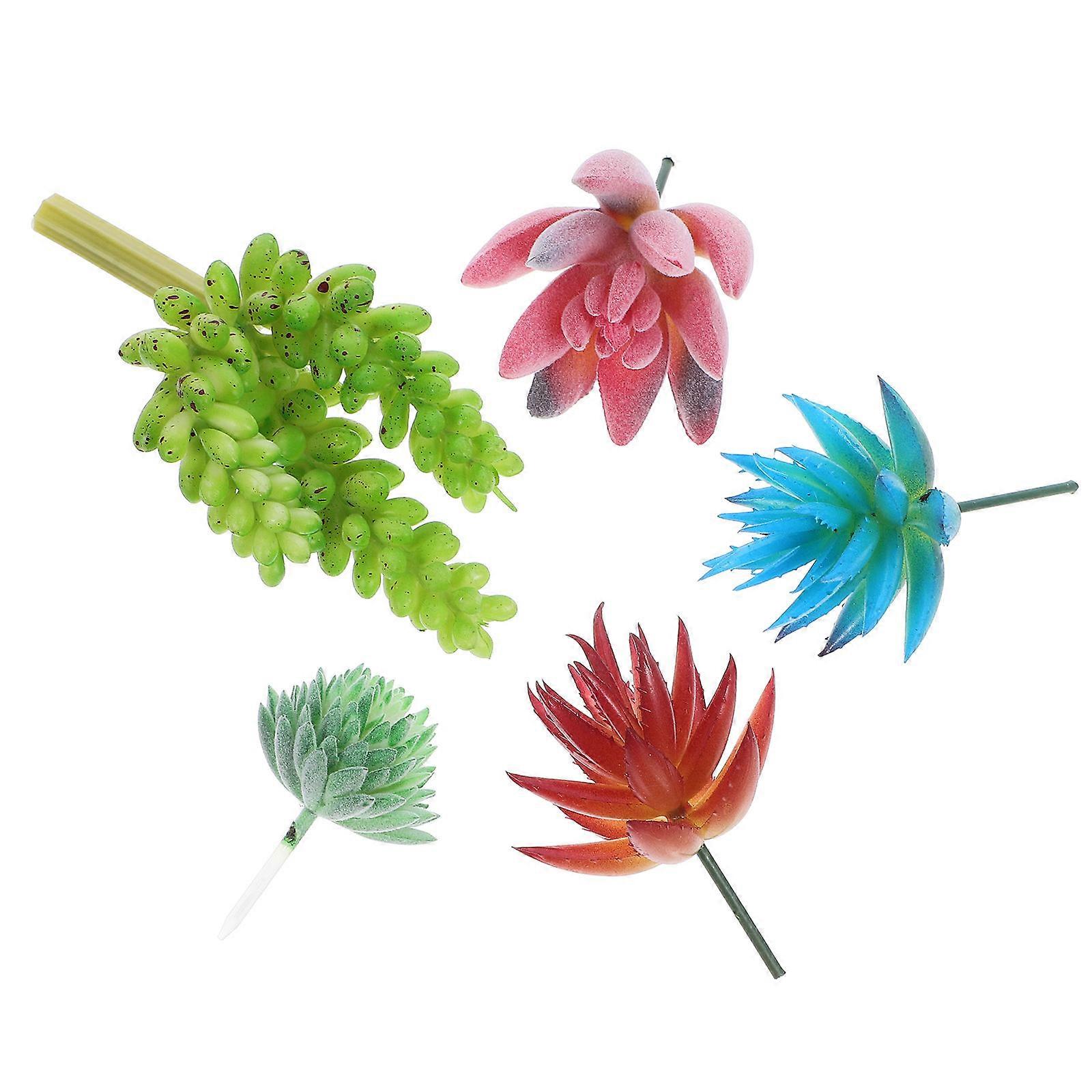 Artificial Succulent Mini Succulent Ornaments Desktop Decor Plastic Material 5Pcs Photography Prop