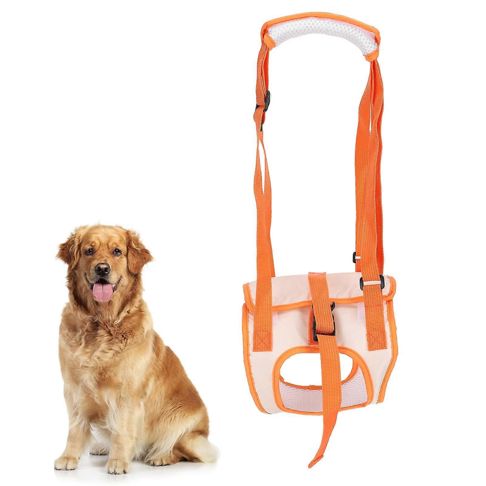 Lifting Harness for Pet Dogs - Mesh Rear Leg Support Belt for Disabled Dogs, Small Size for Joint Injuries and Low Stability