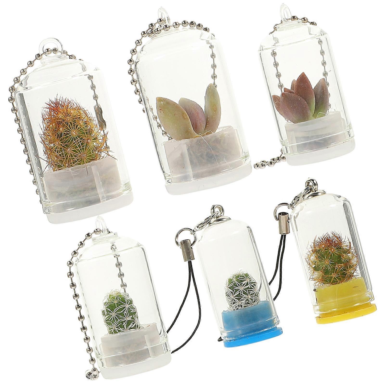 Hanging Glass Planter 18 Pcs Clear Design Ideal For Plant Enthusiasts Daily Use Micro Plant Nurturing