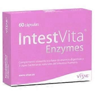 IntestVita Enzymes with probiotic 60 capsules