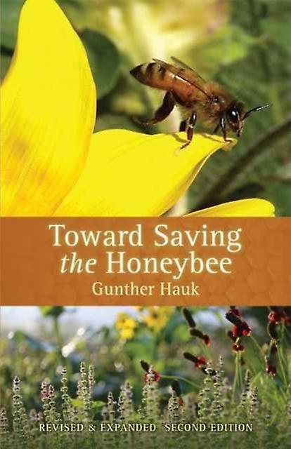 Toward Saving The Honeybee by Gunther Hauk Paperback