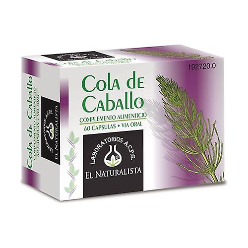 Horse tail 60 capsules