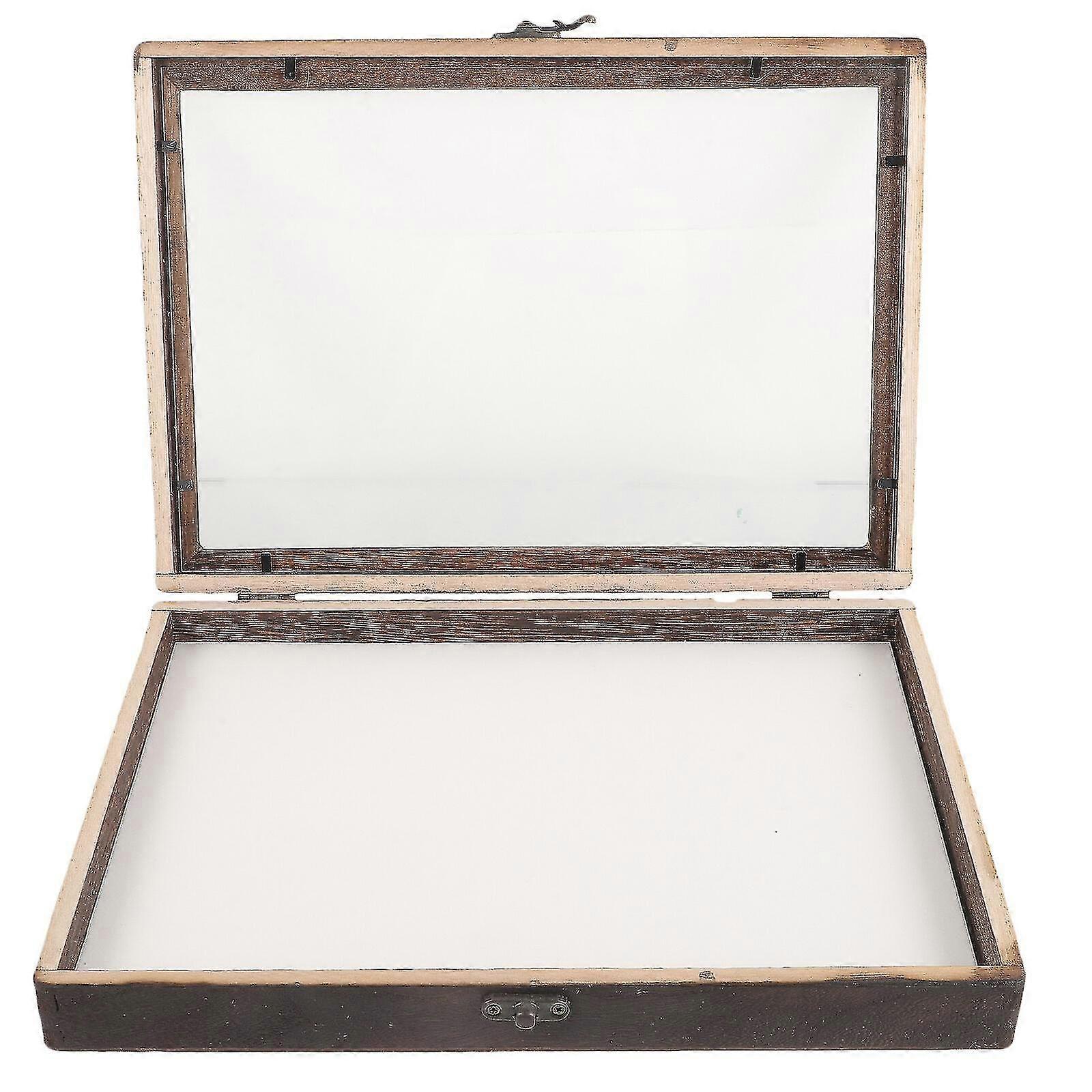 Wooden Insect Display Case Set: Bug Collection Box with Clear Window for Insect Specimens