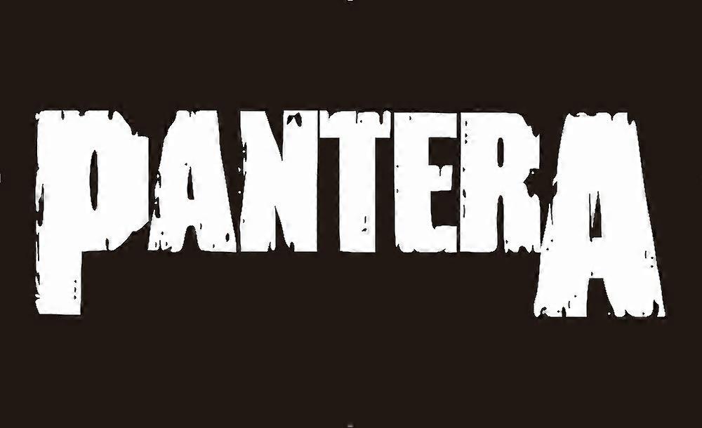 90*150cm Pantera Vlag