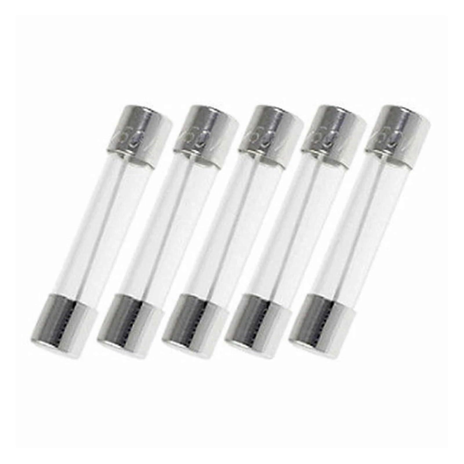 6X30MM Glass Time Delay Fuse 5PCS 1.5A 250V Replacement Fuse for Electronics and Appliances