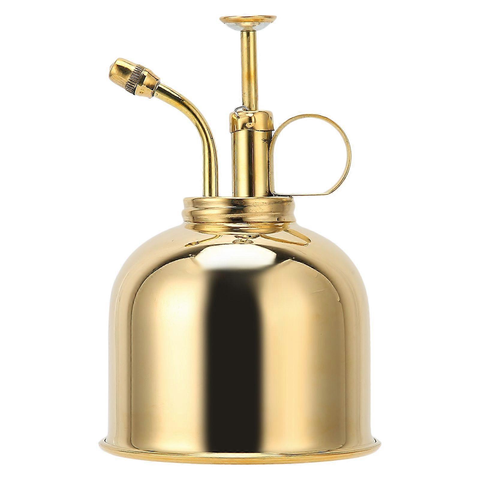 Professional Stainless Steel Watering Can with Top Pump for Succulent Plants Orchid 300mlYMMR)