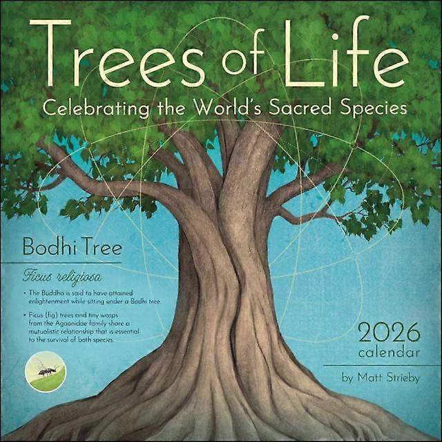 Trees Of Life 2026 Wall Calendar by Matt Strieby Calendar Book