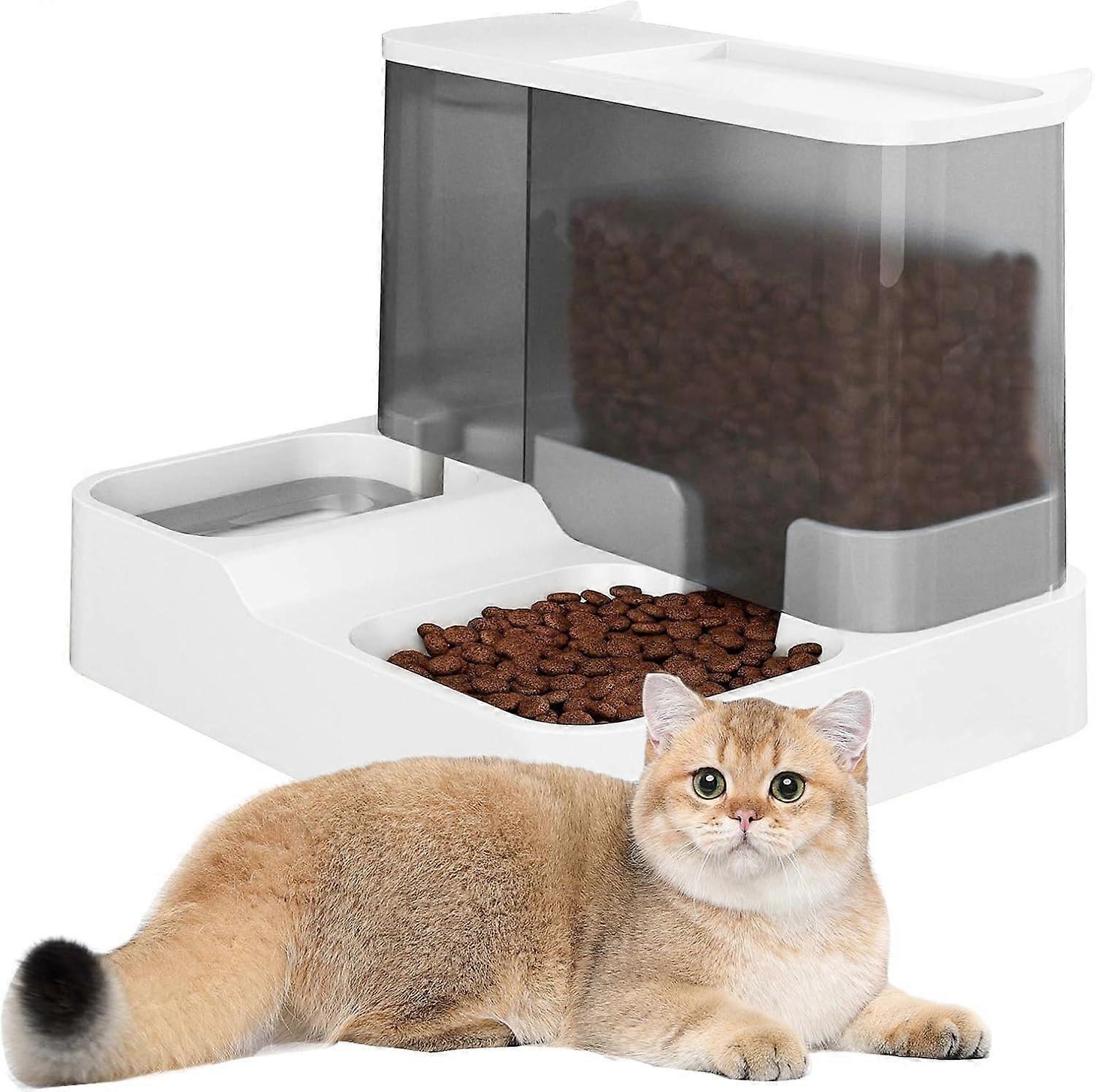 TTMA Distributeur automatique de nourriture pour chats distributeur deau et mangeoire pour chats et