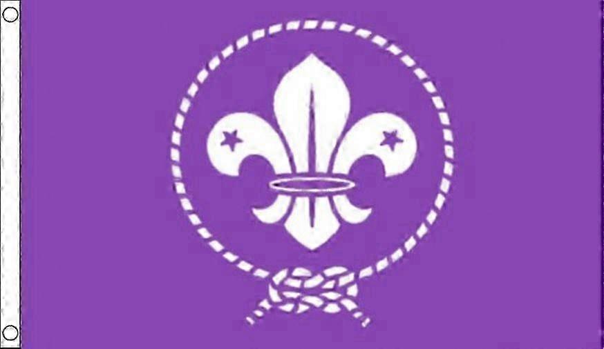 Scouts Purple Flag Scouting Scout Movement Flags Banne Model T 417