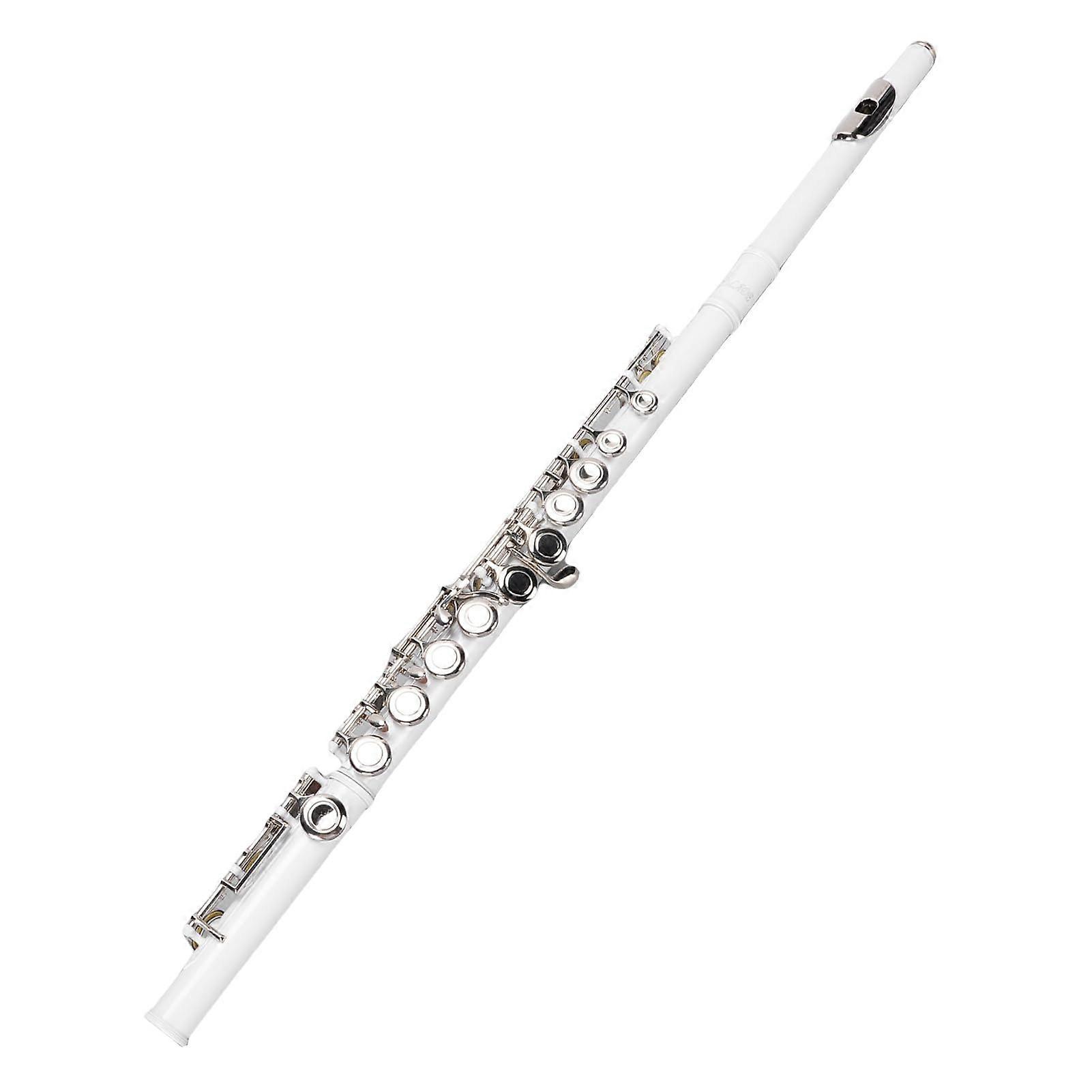 C Flute for Beginners 16 Keys Student Flute with Case Offset G Key Split E Durable Copper Body