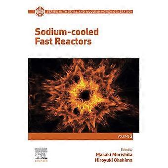Sodium-cooled fast reactors