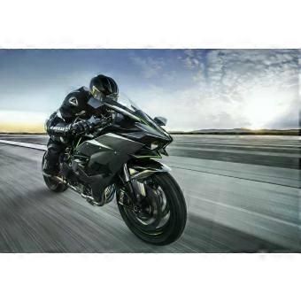 Styled Kawasaki Ninja H2R - High Quality Premium jigsaw puzzle SIO251