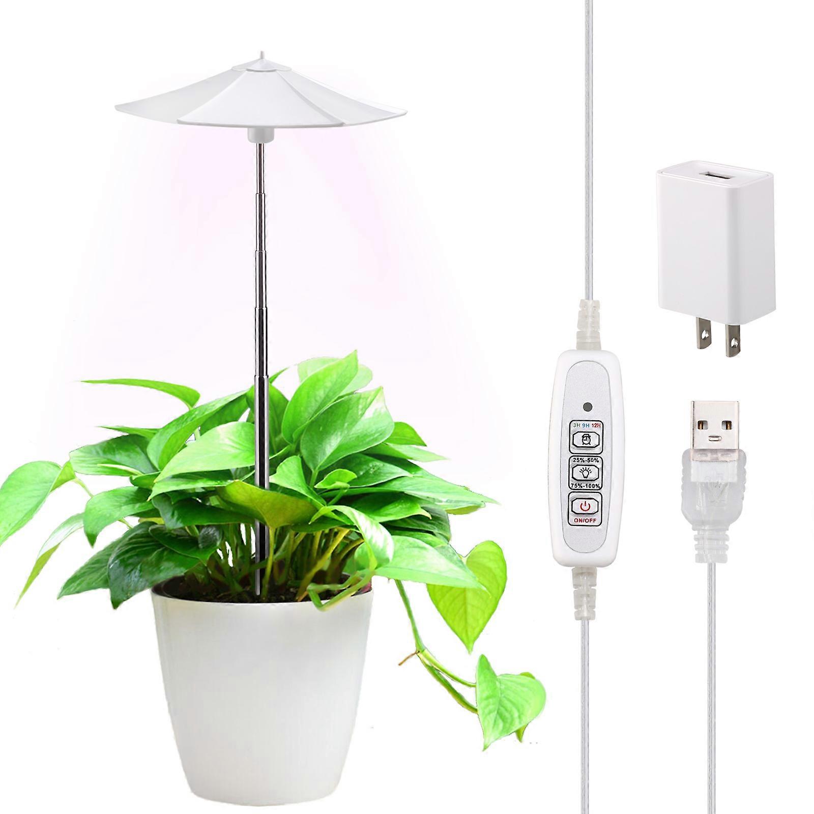 Umbrella Plant Growth Light
