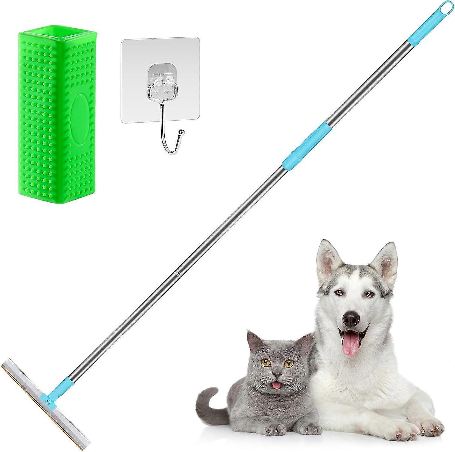 Pet Hair Remover for Carpet Carpet Scraper Rake for Dog Cat Hair Removal with 55" Handle, Reusable Large Metal Lint Remover Brush Tool for Embedded Fu