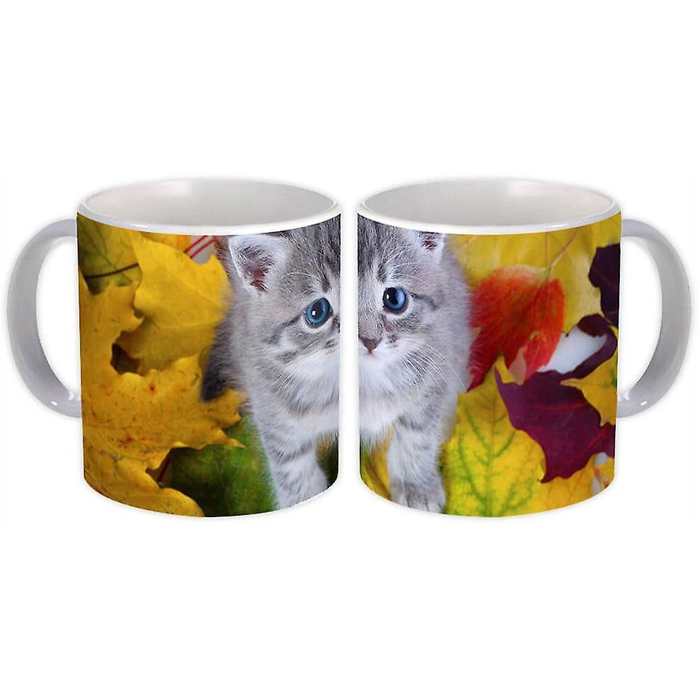Hediye Kupa: Kedi Hayvan