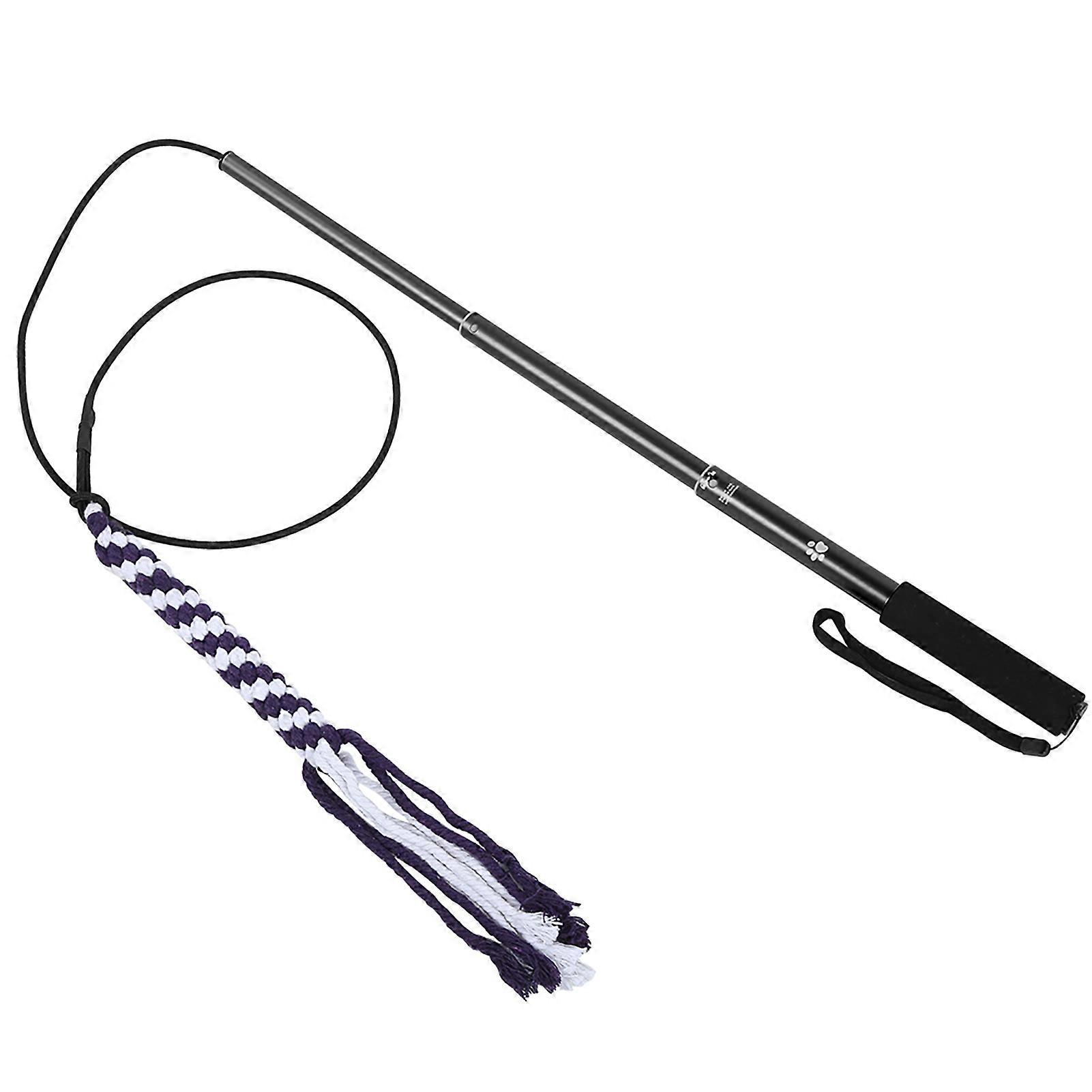 Dog Toys, Retractable Stick, Cat Training Toy, Pet Play Wand, Get More Exercise (Black L)