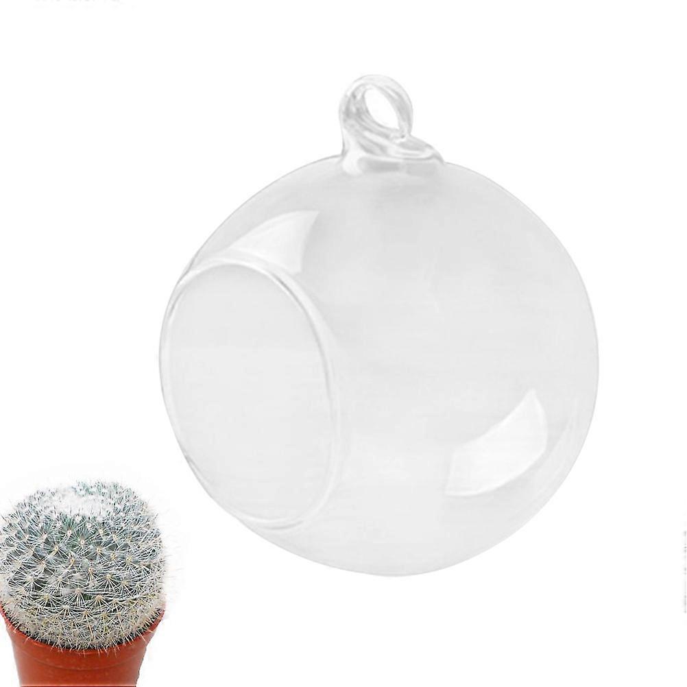 Clear Hanging Glass Vase Lightweight Plant Container For Party Table Centerpieces Friends Relatives present 8cm Diameter 1Pack