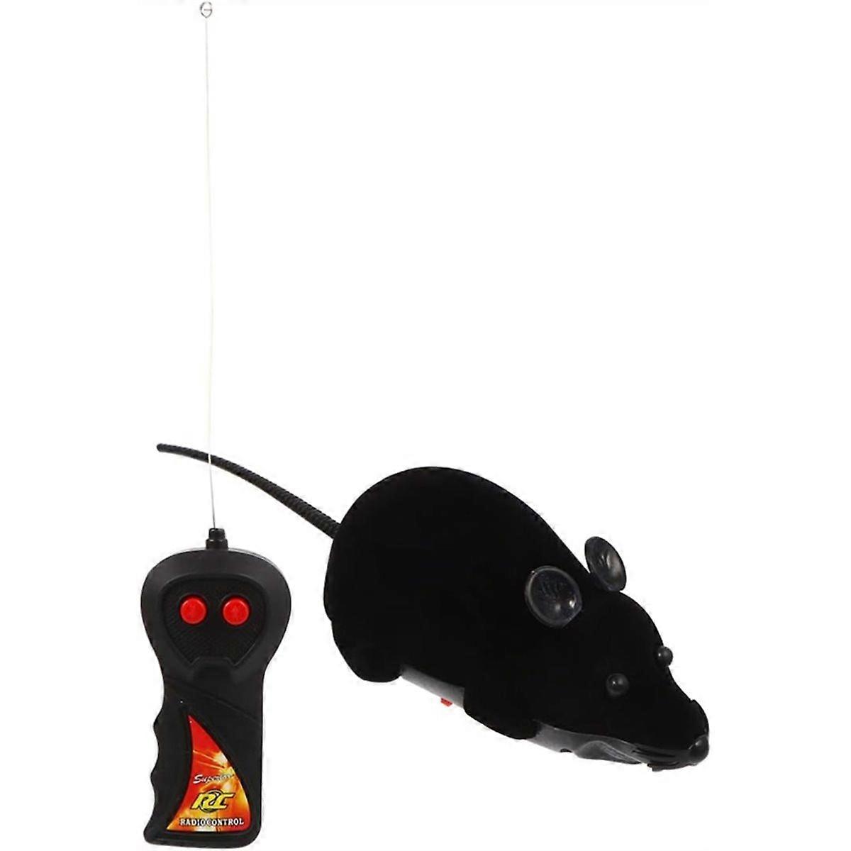 Remote Control Joke Toys
Remote Control Toys