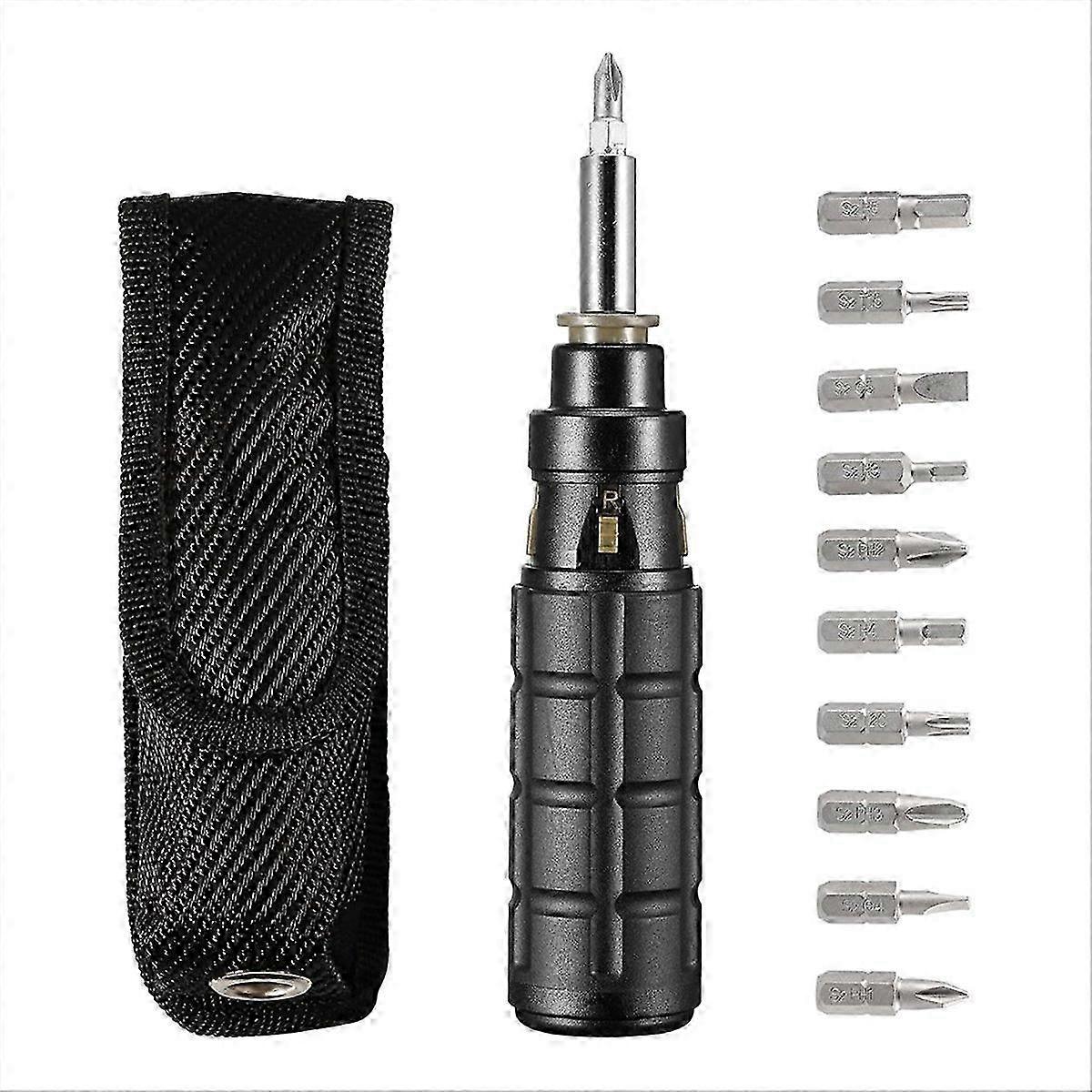 Multibit Ratchet Screwdriver, with /Slotted/Torx/Hex Bits