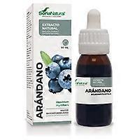 Blueberry Extract (XXI Formula) 50 ml