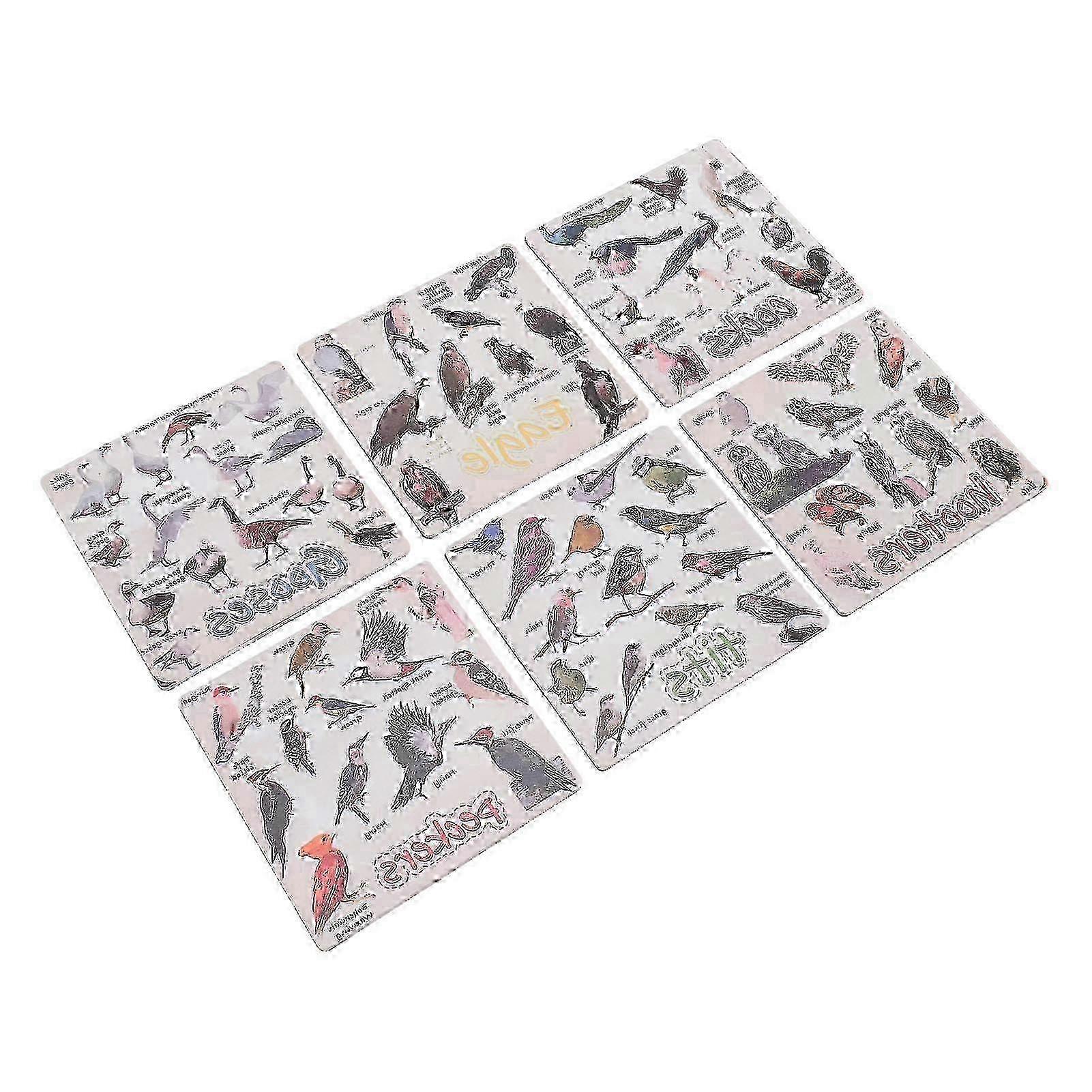 6pcs Rectangular Acrylic Bird Pun Coasters, Multi-Pattern Stylish Home Decor Set
