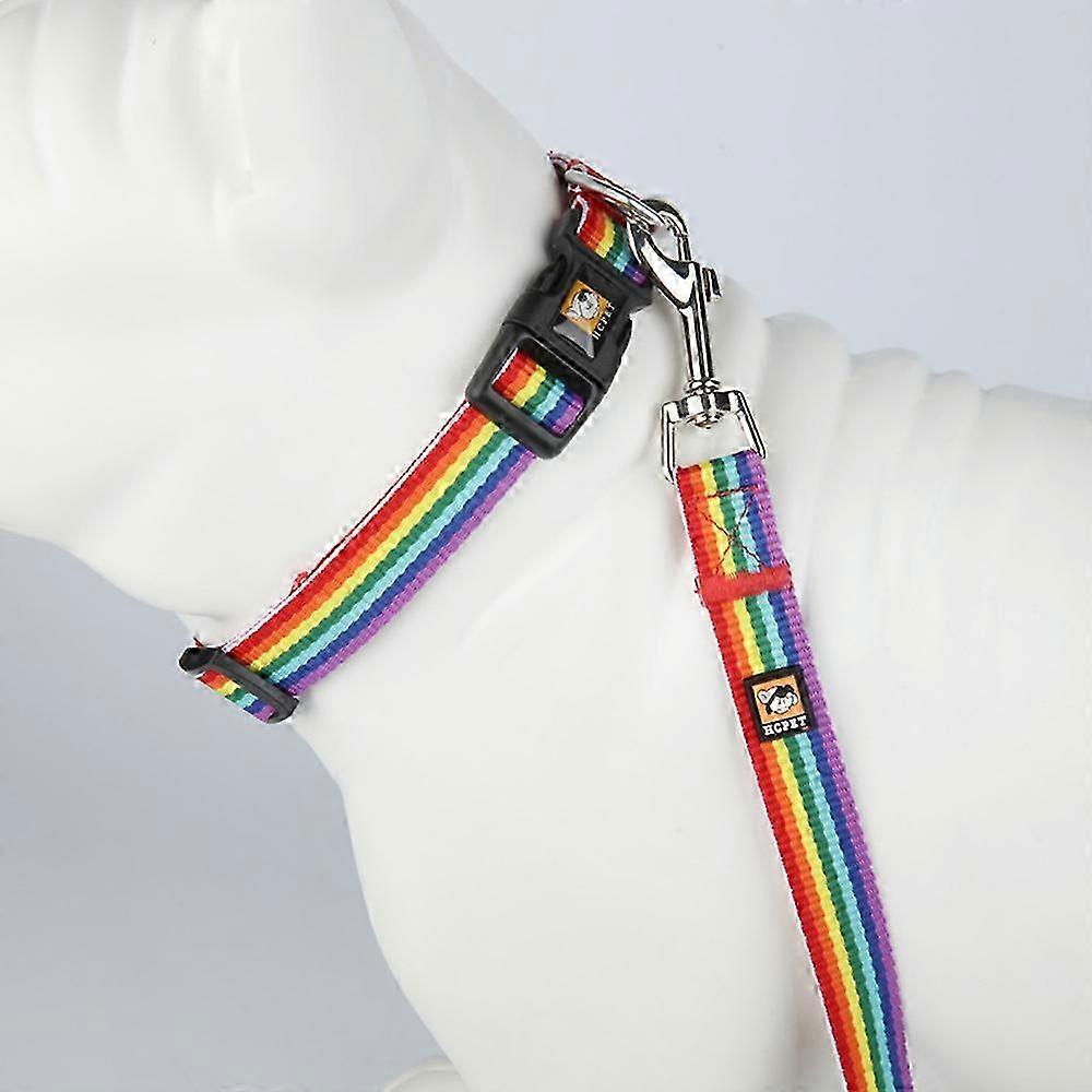 Daily Wear Adjustable Dog Collar