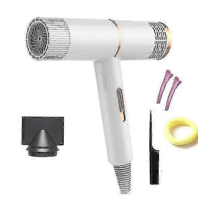 Professional Hair Dryer